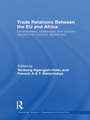 Trade Relations Between the EU and Africa: Development, challenges and options beyond the Cotonou Agreement