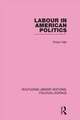 Labour in American Politics (Routledge Library Editions: Political Science Volume 3)