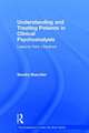 Understanding and Treating Patients in Clinical Psychoanalysis: Lessons from Literature