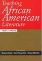 Teaching African American Literature: Theory and Practice