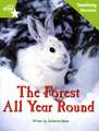 Fantastic Forest Green level Non-fiction: The Forest all Year Teaching Version