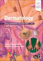 Dermatology: An Illustrated Colour Text