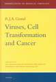 Viruses, Cell Transformation, and Cancer