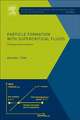 Particle Formation with Supercritical Fluids: Challenges and Limitations