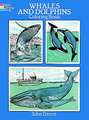 Whales and Dolphins Coloring Book