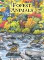 Forest Animals Coloring Book