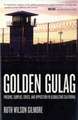 Golden Gulag – Prisons, Surplus, Crisis and Opposition in Globalizing California