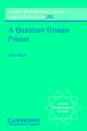 A Quantum Groups Primer