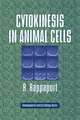 Cytokinesis in Animal Cells