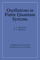 Oscillations in Finite Quantum Systems