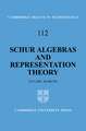 Schur Algebras and Representation Theory