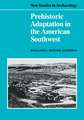 Prehistoric Adaptation in the American Southwest