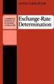 Exchange-Rate Determination