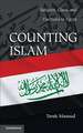 Counting Islam: Religion, Class, and Elections in Egypt