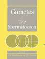 Gametes - The Spermatozoon