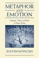 Metaphor and Emotion: Language, Culture, and Body in Human Feeling