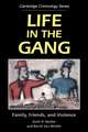 Life in the Gang: Family, Friends, and Violence