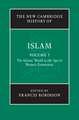 The New Cambridge History of Islam