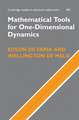 Mathematical Tools for One-Dimensional Dynamics