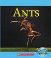 Ants