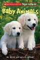 Baby Animals