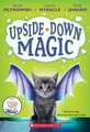 Upside-Down Magic (Upside-Down Magic #1)