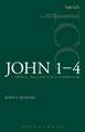 John 1-4 (ICC): A Critical and Exegetical Commentary