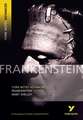 Frankenstein: everything you need to study and prepare for the 2025 and 2026 exams