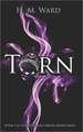 Torn (Demon Kissed #3): Demon Kissed #3