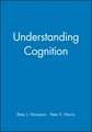 Understanding Cognition