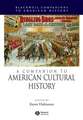 Companion to American Cultural History