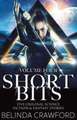 Short Bits, Volume 4