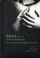 Pain and Its Tranformations