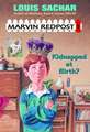 Marvin Redpost #1: Kidnapped at Birth?