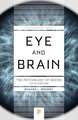 Eye and Brain
