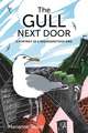 The Gull Next Door – A Portrait of a Misunderstood Bird