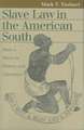 Slave Law in the American South: State V. Mann in History and Literature