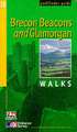 Brecon Beacons and Glamorgan Walks