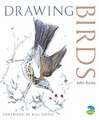 Drawing Birds