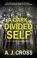 Dark, Divided Self