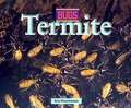 Termites