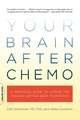 Your Brain After Chemo