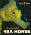 Sea Horse