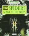 How Spiders Make Their Webs