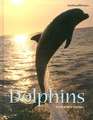 Dolphins