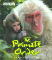 The Primate Order