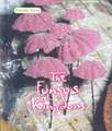 The Fungus Kingdom