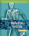 Skeletal System