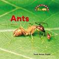 Ants