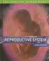 Reproductive System